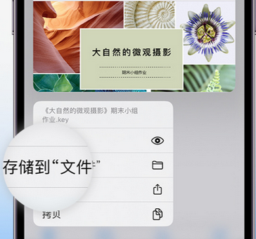 叠彩apple维修中心分享iPhone文件应用中存储和找到下载文件