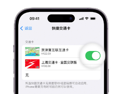 叠彩apple维修点分享iPhone上更换Apple Pay快捷交通卡手绘卡面 