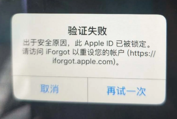 叠彩iPhone维修分享iPhone上正常登录或使用AppleID怎么办 