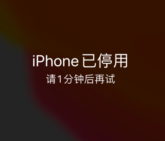 叠彩苹果手机维修分享:iPhone 显示“不可用”或“已停用”怎么办？还能保留数据吗？ 