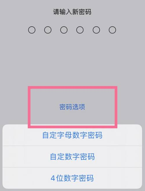 叠彩苹果14维修分享iPhone 14plus设置密码的方法 