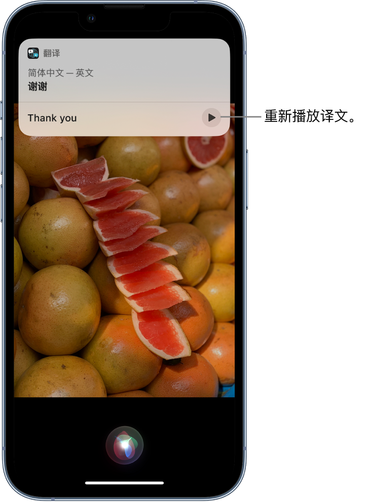 叠彩苹果14维修分享 iPhone 14 机型中使用 Siri：了解 Siri 能帮你做什么 