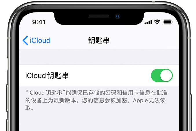 叠彩苹果手机维修分享在 iPhone 上开启 iCloud 钥匙串之后会储存哪些信息 