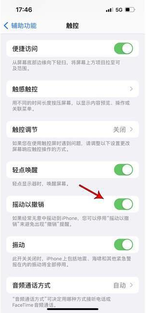 叠彩苹果手机维修分享iPhone手机如何设置摇一摇删除文字 